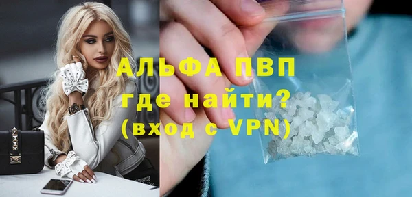 PSILOCYBIN Осташков