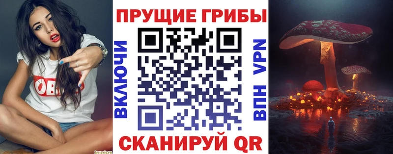 Псилоцибиновые грибы Magic Shrooms  где купить   мега как зайти  Костомукша 