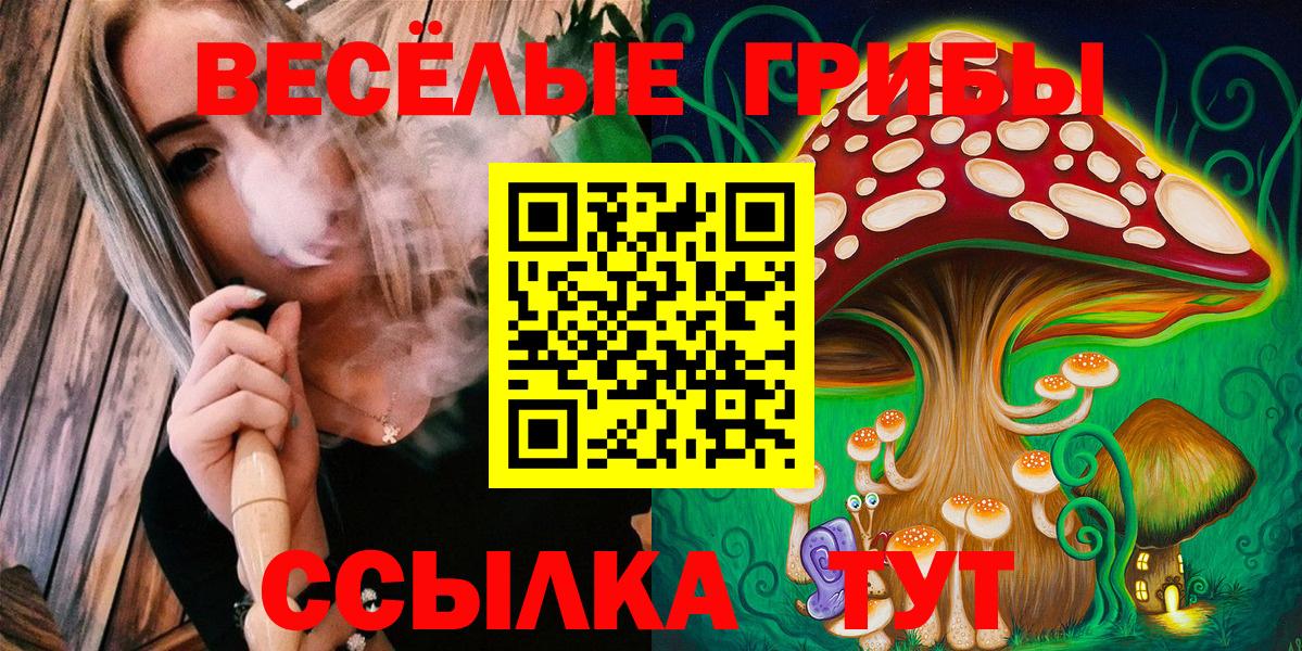 ГАШ Костомукша