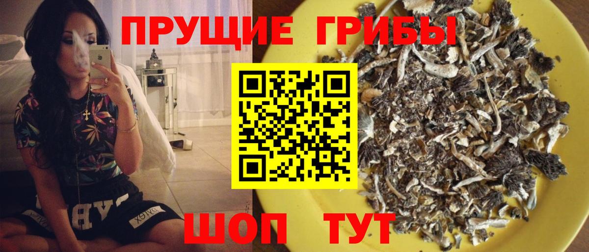 Меф  КОКАИН  Костомукша  Вход с VPN  Хэш  Конопля 